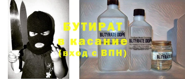 шишки Гусиноозёрск