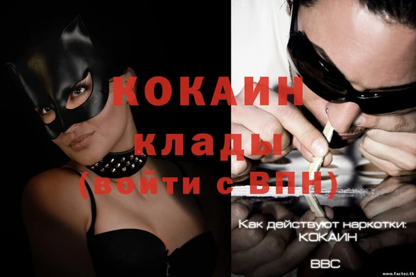 прущий лед Гусев