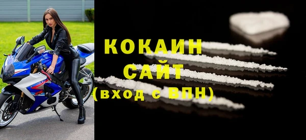 шишки Гусиноозёрск