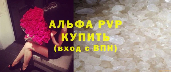 шишки Гусиноозёрск