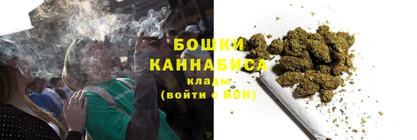 шишки Гусиноозёрск