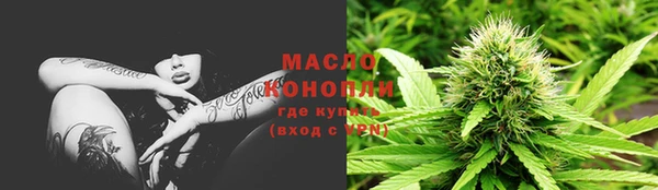 шишки Гусиноозёрск