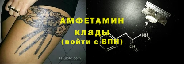 шишки Гусиноозёрск