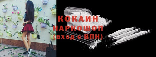 шишки Гусиноозёрск