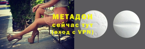 шишки Гусиноозёрск
