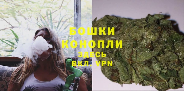 прущий лед Гусев