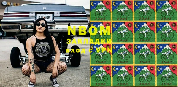шишки Гусиноозёрск