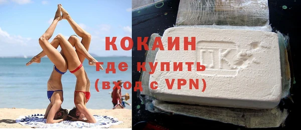 шишки Гусиноозёрск