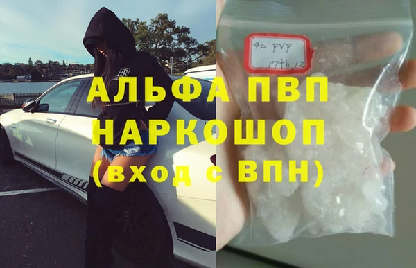 шишки Гусиноозёрск