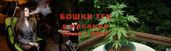 шишки Гусиноозёрск