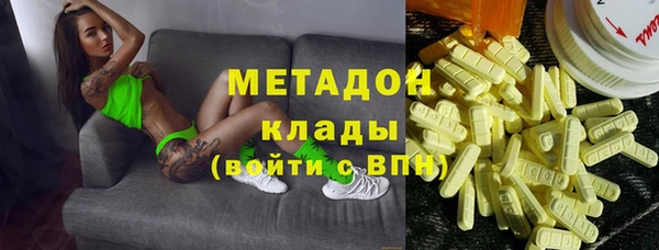 шишки Гусиноозёрск