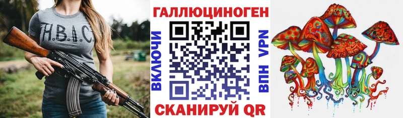 Купить закладки  Кинешма  Галлюциногенные грибы Psilocybine cubensis 